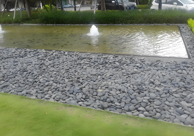 案例展示